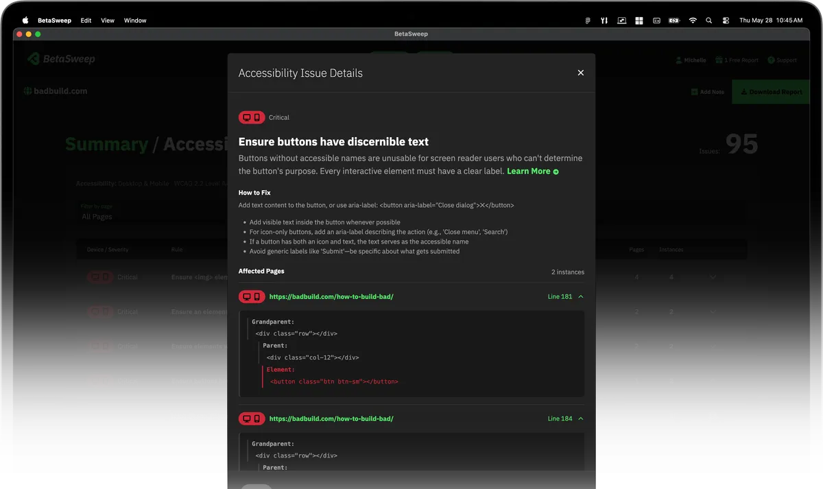 BetaSweep app showing details of an Accessibility violation