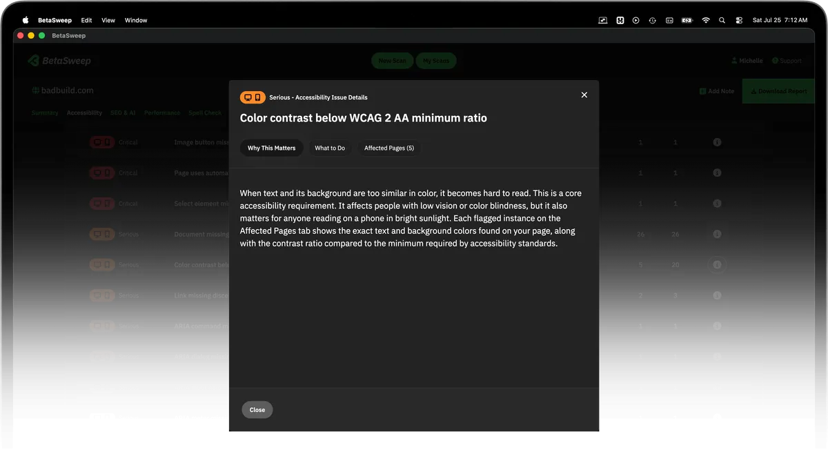 BetaSweep app showing the overview details of an Accessibility violation